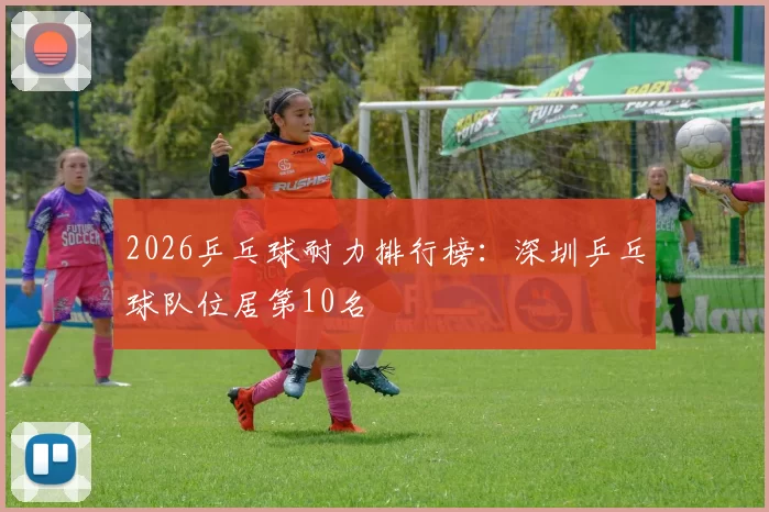 2026乒乓球耐力排行榜：深圳乒乓球队位居第10名