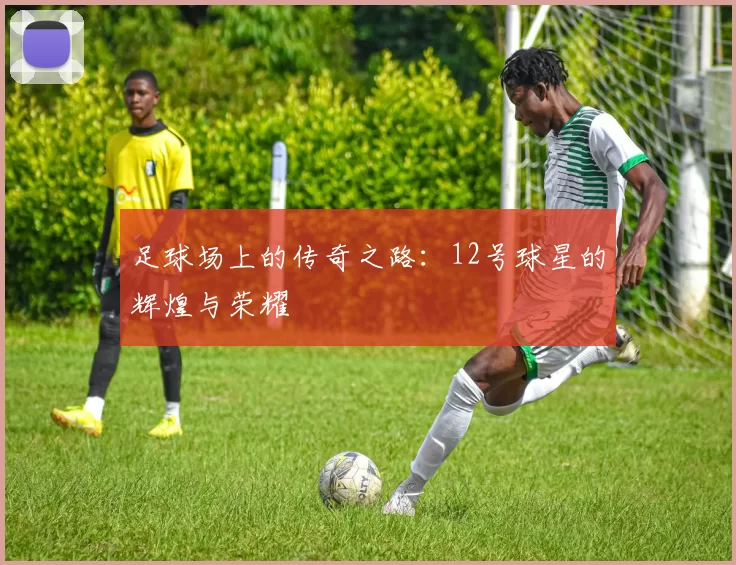 足球场上的传奇之路：12号球星的辉煌与荣耀