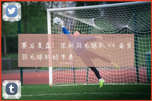 赛后复盘：深圳羽毛球队 vs 南京羽毛球队的节奏