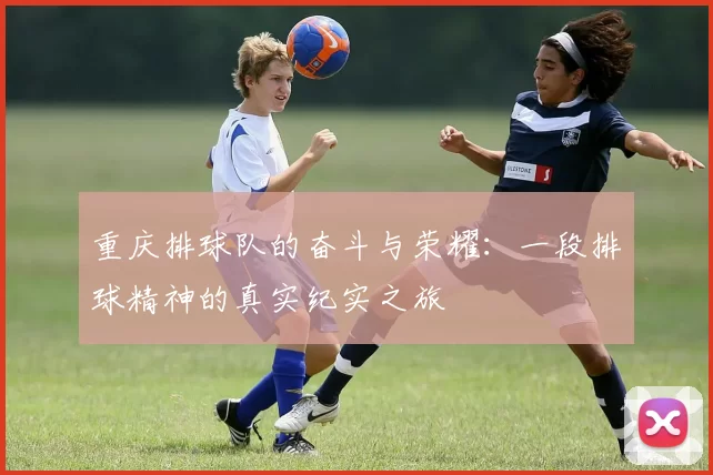 重庆排球队的奋斗与荣耀：一段排球精神的真实纪实之旅