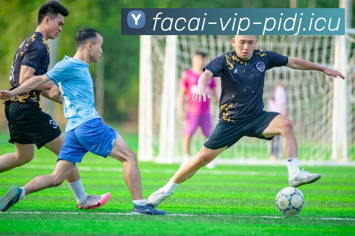 星空体育注册平台生态图